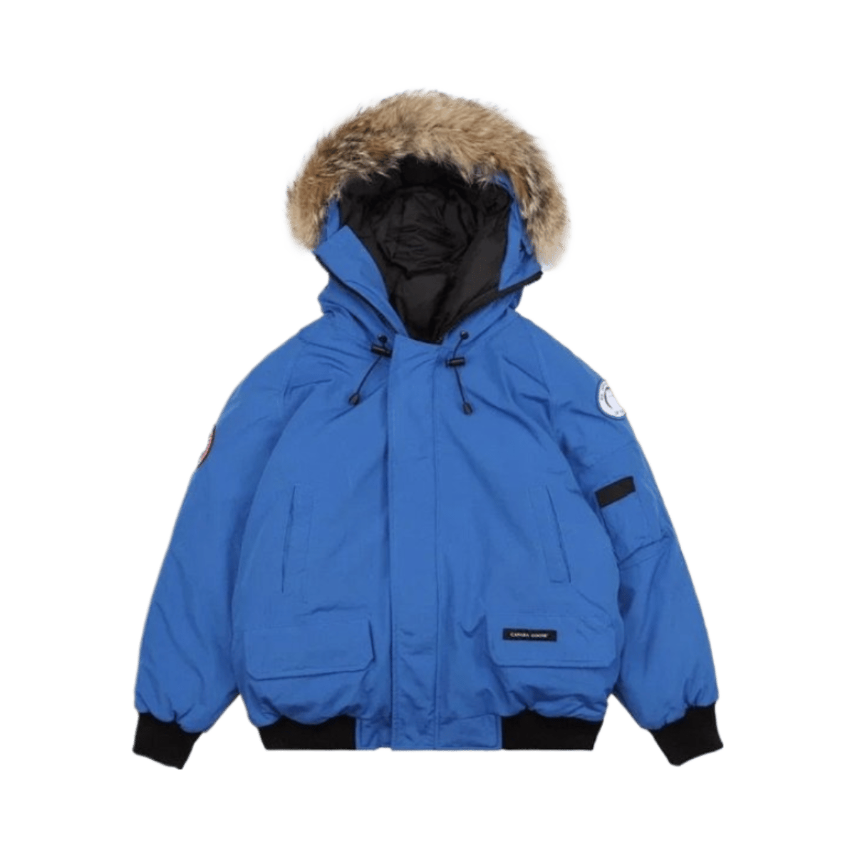 Canada Goose Chilliwack Bomber Down Jacket with Fur Hood — image 3