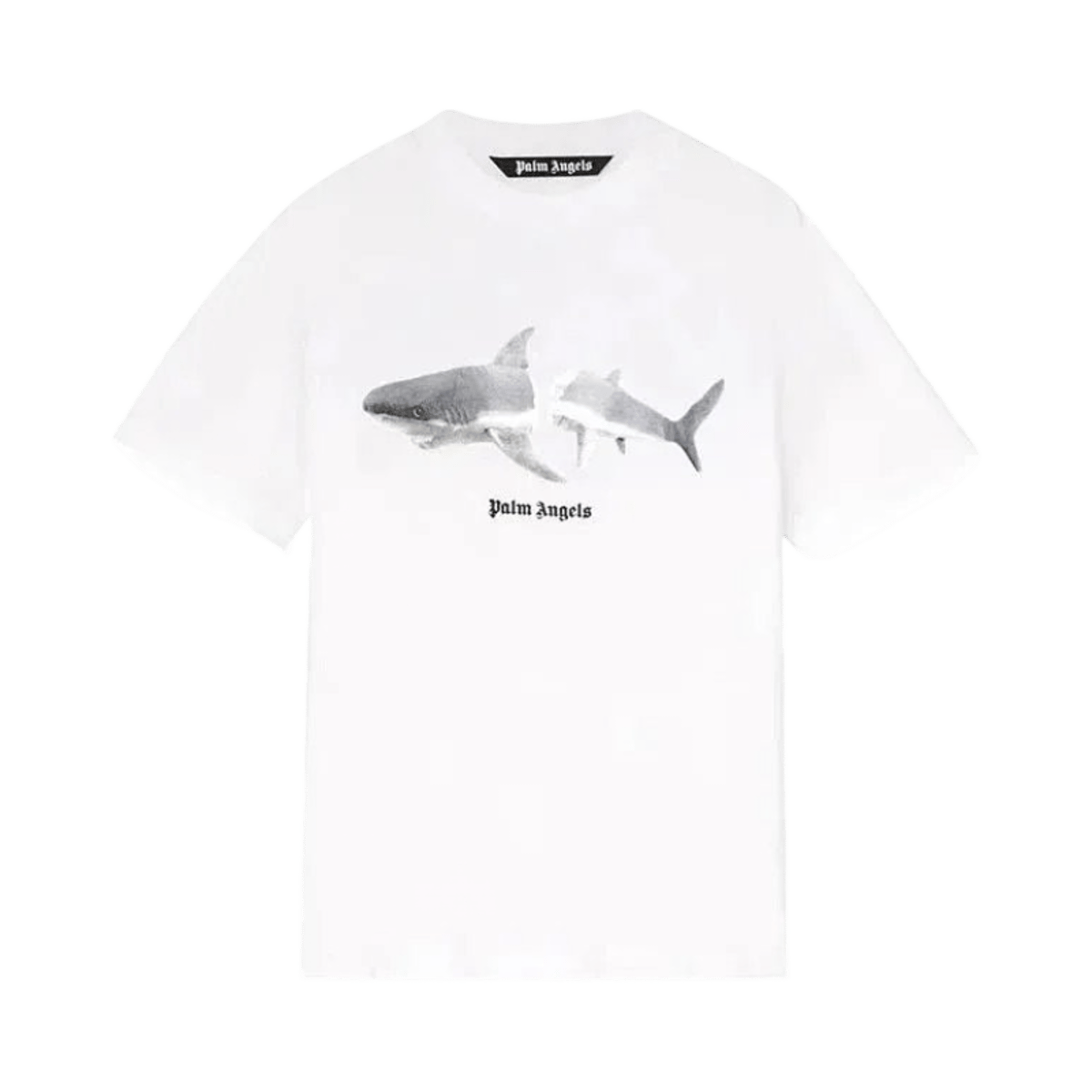 Palm Angels Teddy Bear Print Short Sleeve T-Shirt — image 3